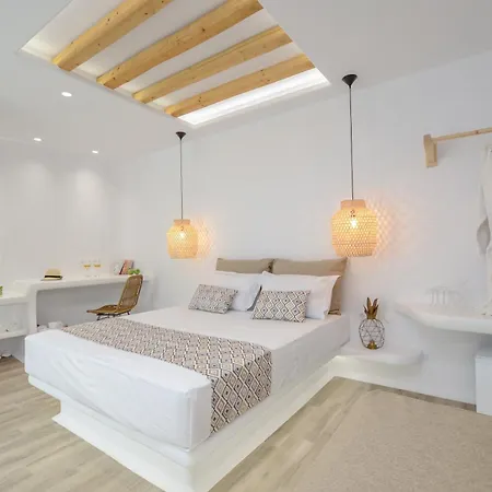 מלון Naxian Spirit *